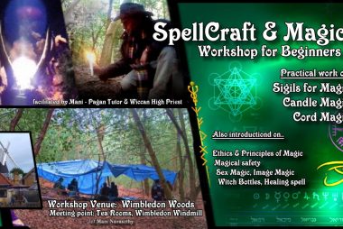 Workshops & Courses
