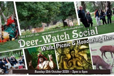 Socials & festive trips